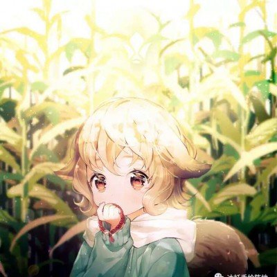 缅甸发现11000克拉巨型红宝石
